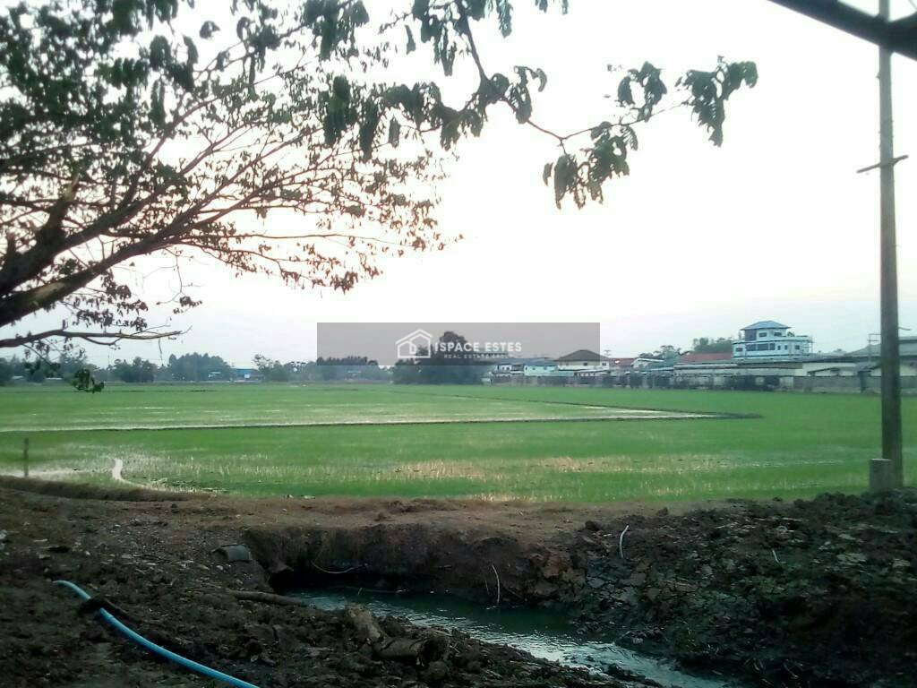 ขายที่ดิน 30-3-59.6 ไร่ อ.สามโคก ต.ท้ายเกาะ จ.ปทุมธานี ติดถนนใหญ่  3111 ปทุมธานี-สามโคก-เสนา ที่ดินแปลงสวย เหมาะทำการลงทุน สร้างโรงงาน โกดัง ฯลฯ