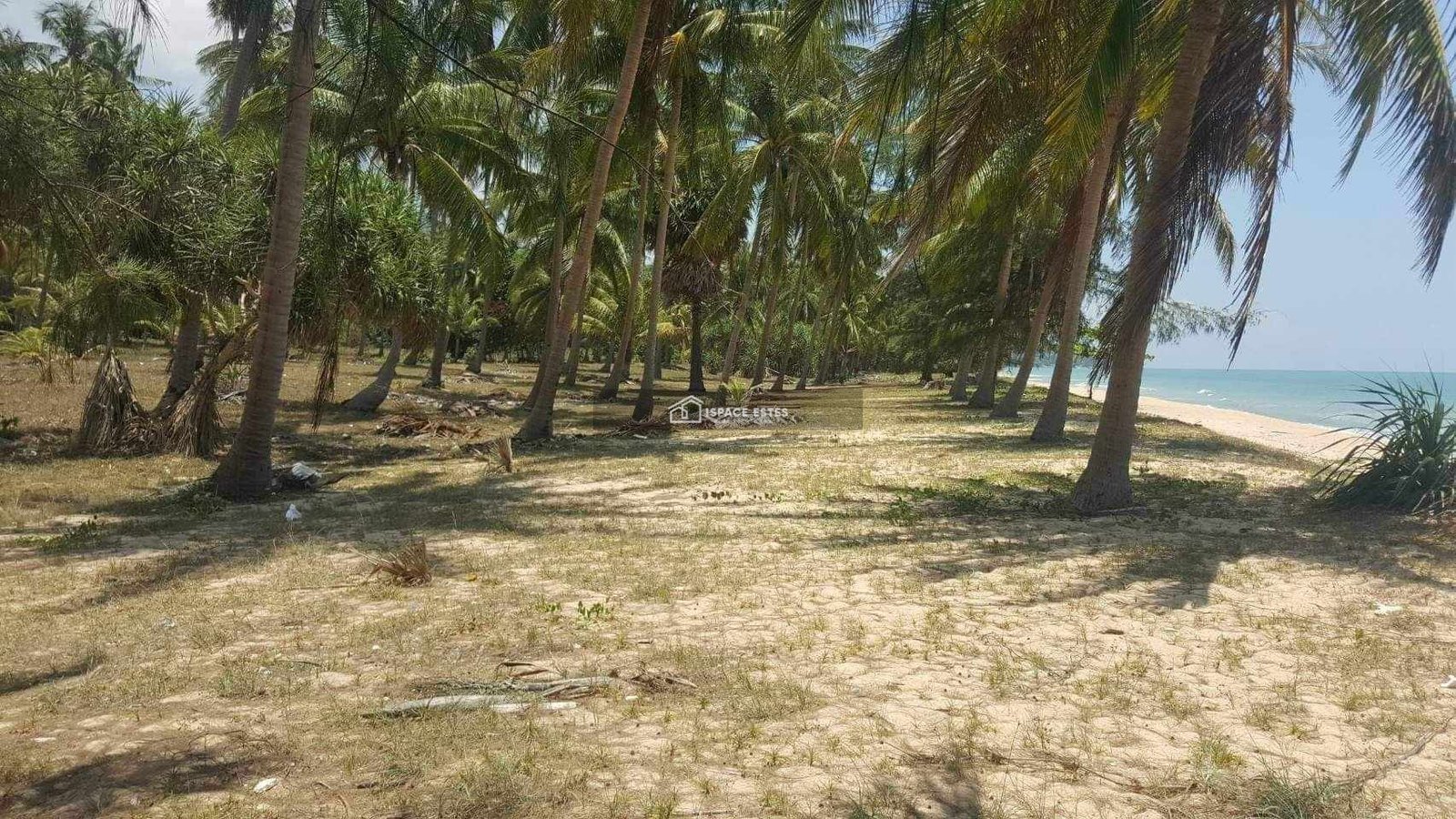 ขายที่ดินติดทะเล 6-2-6 ไร่ หาดทุ่งใส อ.สิชล จ.นครศรีธรรมราช ติดกับทางไปขนอม-สิชล ทางขึ้นไปเขาพรายดำ