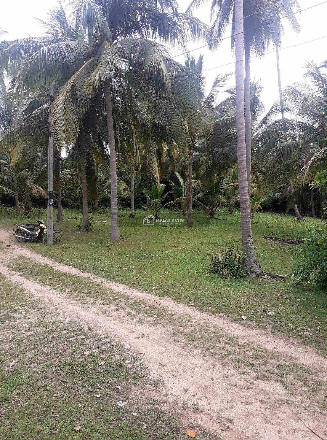 ขายที่ดินติดทะเล 6-2-6 ไร่ หาดทุ่งใส อ.สิชล จ.นครศรีธรรมราช ติดกับทางไปขนอม-สิชล ทางขึ้นไปเขาพรายดำ